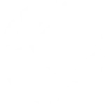 Korvpall